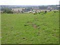 View from Footpath