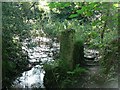 Stream and stile in Kerthen Wood