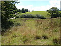 Field beside Woodland Barton