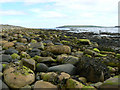 HY5803 : Foreshore at Barns of Ayre, Deerness by Mark Crook