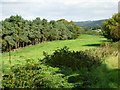 View near Broadholm