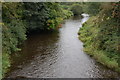 River Bann at Milltown, Lenaderg