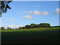 View towards Caroline Colyear Cottages