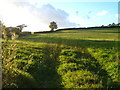 North-north-west from Whitmore Barn