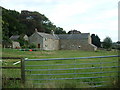 Celyn farm