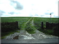 Footpath off Mire Ridge