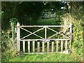 Gate, Balwest