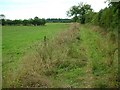 Footpath and pasture