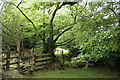 Rackenford: between Lower Bulworthy and Tidderson Moor