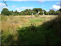 Well Farm from near Well Cross