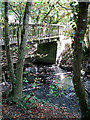 Footbridge over Dollis Brook