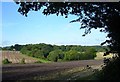 Swainshill from Pickaxe Lane