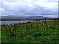 Looking towards Loch Shin