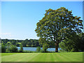 Comber Mere, by Combermere Abbey