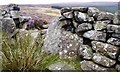 NZ6108 : Ring Marked Stone, Warren Moor by Mick Garratt