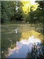 Pudlicott Mill pond