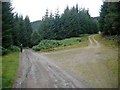 Road junction in Kildermorie Forest