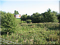 Vacant land near Crewe station