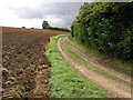 TF3574 : Field Track and Hedge by Michael Patterson