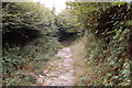 Entrance to Bridleway from B3224