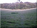 Footpath linking woods