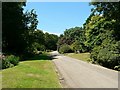 The Drive and The Meadow, Trengwainton Garden