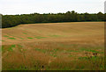 Farmland near Lower Farm