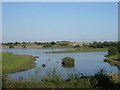 Elton Flashes Nature Reserve