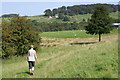 Gritstone Trail near Harrop Brook