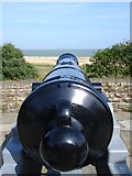 TR3750 : Cannon, Walmer Castle by Penny Mayes