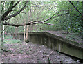 Disused railway platforms at Christs Hospital station