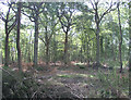 TQ1430 : High Wood DEFRA conservation area by Andy Potter