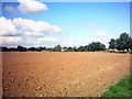TM3169 : Fields off New Road by Geographer