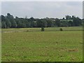 View Towards Kinvaston Hall Farm