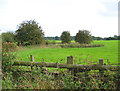 Small mere near Lodmore Lane