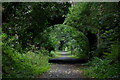 Clandeboye Avenue, Helen