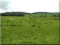 Annaghmakeown Townland