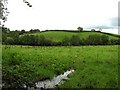 Mullacreevy Townland