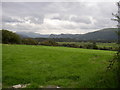 Glan y morfa bach meadow.