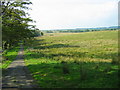 Unfenced road and farmland