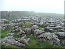 SD9468 : Limestone on Hawkswick Clowder. by Steve Partridge