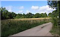 Track towards Whittington Rough