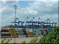 Containers and cranes