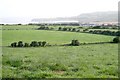 C9240 : Pastures near Ballyleckan by Bob Embleton