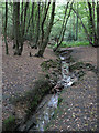 Stream through Coldfall Wood