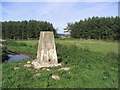 The trig point at 234m near Dolphiston Farm