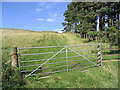 A gateway to a grazing field at Hass