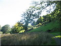 The Track to Foel Isaf