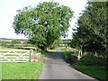 Cattle grid at Parkgate Cottages