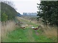 Track across former airfield